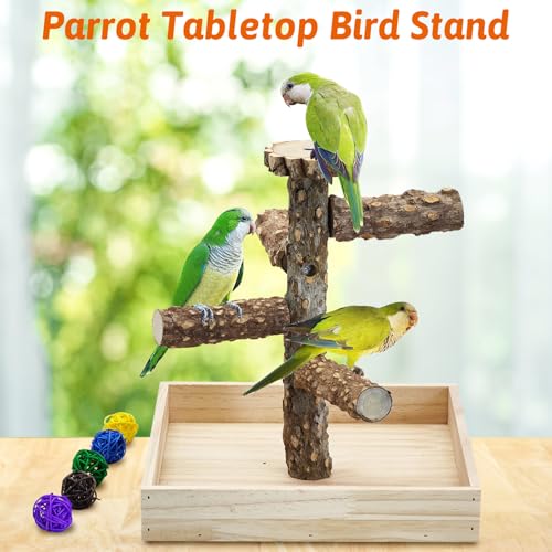 BNOSDM Portable Bird Perch Stand with Potty Tray, Natural Wood Tabletop Training Gym Parrot Playground Toy for Budgies, Cockatiels, Lovebirds,Conures Canaries - color: Five Levels Bird Stand