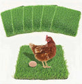 Chicken Laying & Nesting Pads for Coop, Washable Artificial Grass, 6 Pack | 1.2" Thick Egg Cushion | Fits Standard 12x12 Boxes | Anti-Shedding & Flexible | Breathable Drainage Mesh | Easy Rinse & Reuse