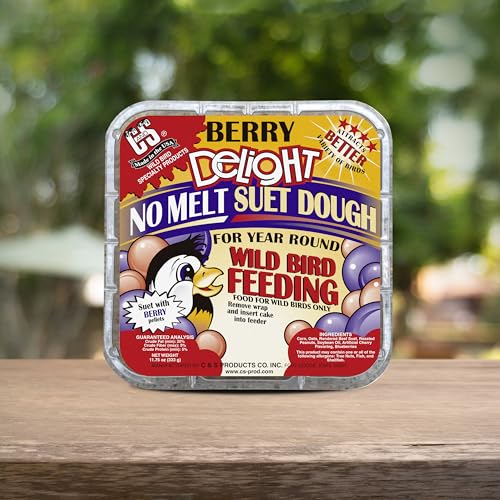 C&S Berry Delight No Melt Suet Dough, Suet Cakes for Wild Birds Including Robins, Blue Jays, Bluebirds, Tanagers, Thrushes and More, 11.75 Ounces, Pack of 8 - size: 1.47 Ounce (Pack of 8), style: Berry, 8 Pack