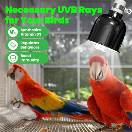 GlowUp Bird Cage Light Fixture Combo Kit, Deep Dome Lampshade with 2.4% UVB Bulb 20W, Bird Light for Captive Birds, Reptiles - size: 20W UVB 2.4 Combo Kit