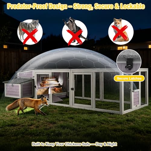 Aivituvin Chicken Coop Outdoor Duck House with Large Run and Two Sided Nesting Boxes for 4-6 Chickens 103" L - size: 103.0"L x 67.0"W x 28.0"H