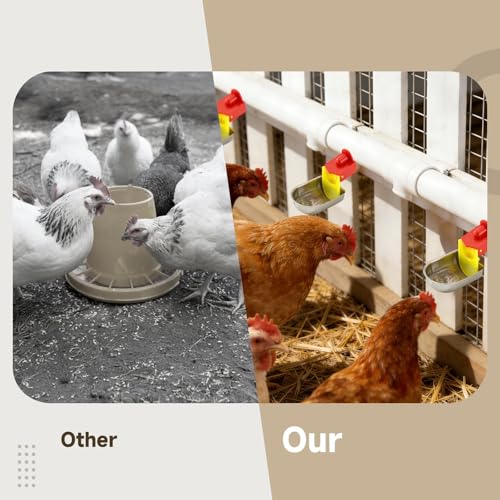12 Pcs Stainless Auto Chicken Water Cups, Self-Filling for 5 Gal Bucket | Self-filling keeps water fresh; bowl shape for natural drinking; fits PVC pipes; for ducks, rabbits, quails & backyard