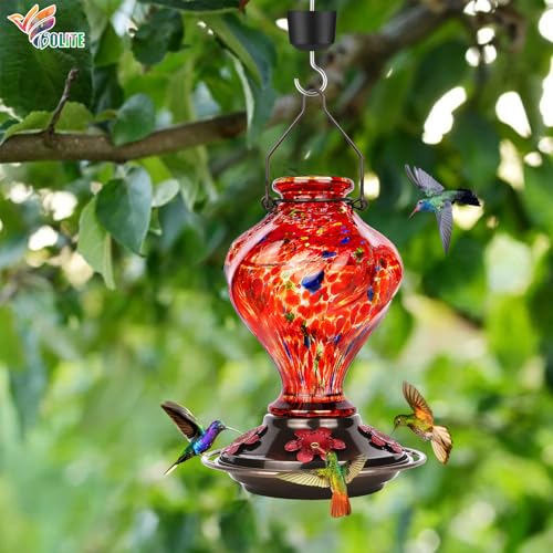 Glass Hummingbird Feeders for Outdoors Hanging with ant Moat, Red | Hand Blown, 24oz, 5 Bee-Proof Ports, 360° Perch, Leak-Proof, Easy Refill & Clean, Garden Decor, Gifts for Mom Dad Women Men - color: Rising Red