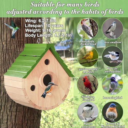 Wooden Bird House for Outside，3Holes Bird House for Bluebird Cardinals Wren Swallow, Hangding Birdhouse in Garder/Balcony/Courtyard Green - color: Green