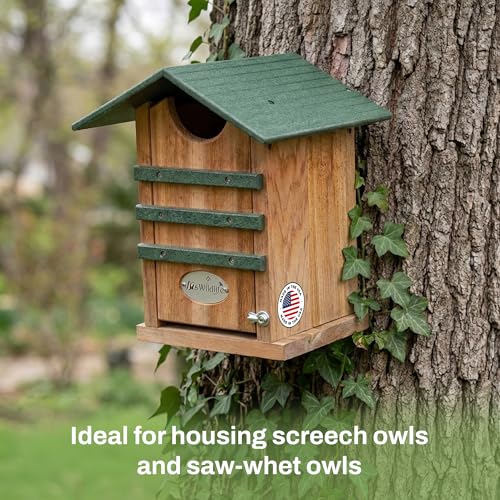 Screech Owl House Cedar Nesting Box with Poly Lumber Roof, Saw-Whet Owl Box for Outside, Drainage Ventilation, Easy Cleanout, Made in USA, Green - color: Green