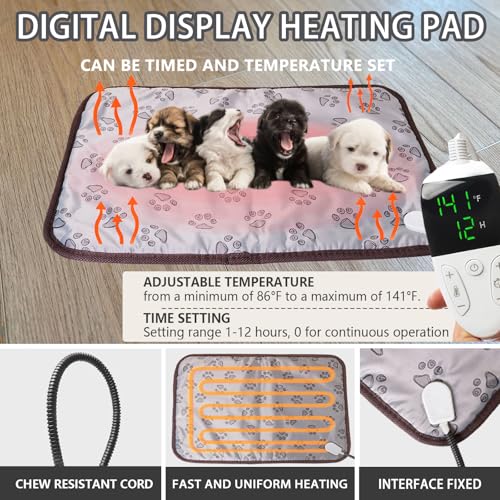Puppy Incubator with Heating and Fan, Ideal Incubator for Puppies and Kittens with Puppy Heating Bed Mat, Ensures Good Ventilation and Temperature Control for Newborn Pets (86L)