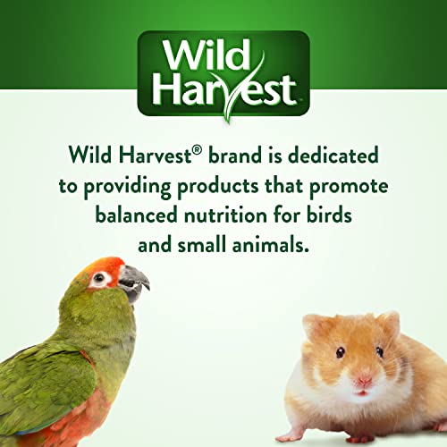 Wild Harvest Daily Blend Nutrition Diet Parakeet, Canary And Finch, Bird Food, 5 Pounds - size: 5 Pound (Pack of 1)