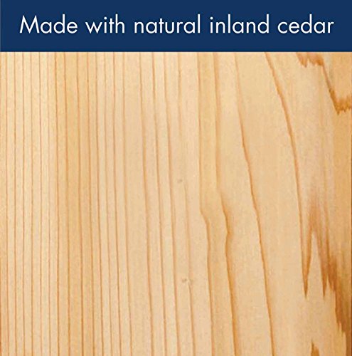 Woodlink BB3 Traditional Bluebird House