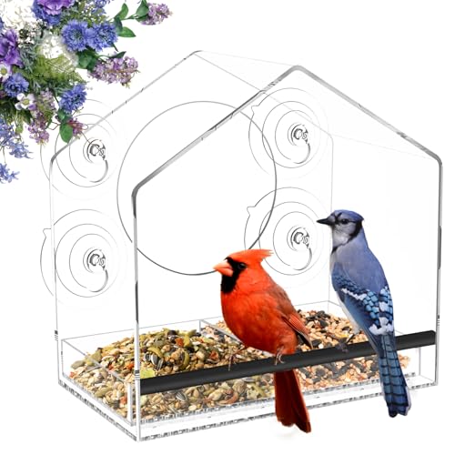 Window Bird Feeder with Strong Suction Cups - Removable Tray | Extra deep 4.35" detachable tray, 2.36" heavy duty suction cup, clear bird feeder for window, fits finches, cardinals - color: Clear, size: 4.35IN