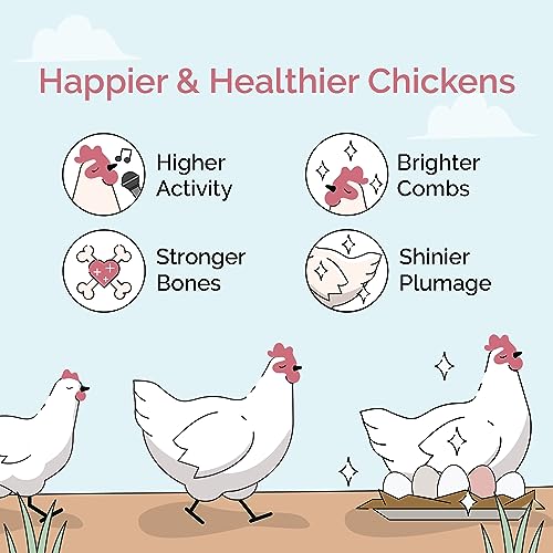 Baby Chick Grit, Age 0-8 Weeks, Quartzite Mineral, 4 lbs Bag | For Chicks Age 0-8 Weeks; Backyard Chickens & Small Flocks; 100% Quartzite/Crushed Granite Grit; Supports Digestion; Non-GMO - size: 4 Pounds (Pack of 1)