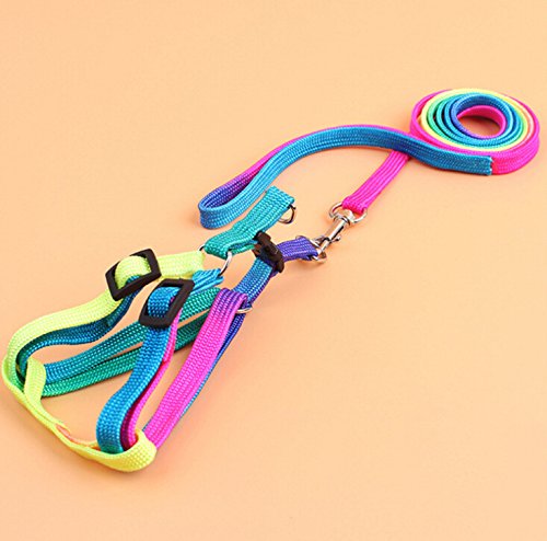 Hypeety Bird Harness and Leash with Buckle Adjustable Bird Vest for Outdoor | Adjustable chest 5.1-12.9'', adorable rainbow design, escape-proof buckles, anti bite training rope for macaw/large bird, M - size: 0.39 × 47.24 in