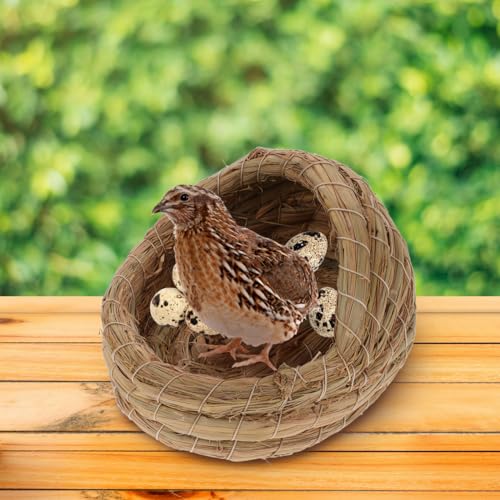 Kisangel 2Pcs Woven Bird Nest, Chicken Straw Breeding Nest, Small Laying Birdcage for Pigeon Parrot Bed Flat Base Indoor Outdoor
