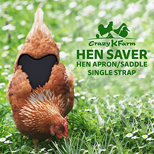 Hen Apron/Saddle, Single Strap, Small, Black - color: Black, size: Small