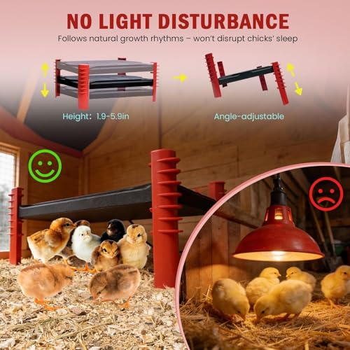 150W Chick Brooder Heater Plate, 16"x11" | 2-in-1 Brooder Plate for Chicks & Poultry & Coops, Adjustable Height, Smart Thermostat, Safe & Energy Saving - size: 16.0"L x 11.0"W x 3.0"H