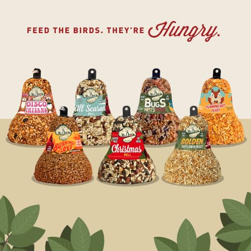 Mr. Bird Bugs, Nuts & Fruit Wild Bird Seed Bell, 2-Pack, 12.5 oz | Premium Blend of Mealworms, Sunflower Hearts & Cranberries | No Melt | Handcrafted in Texas - size: 12.5 Ounce (Pack of 2)