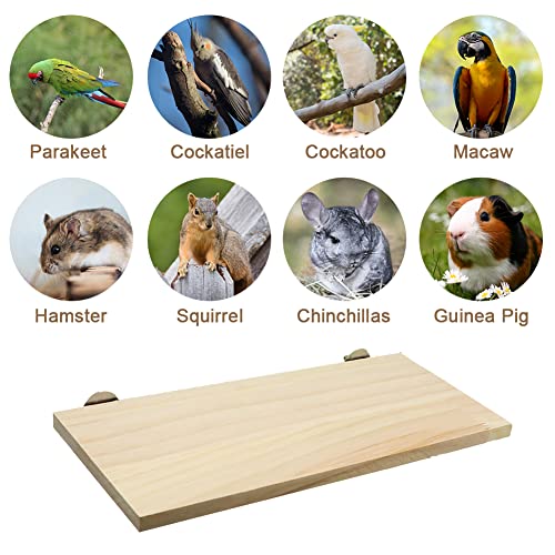 Litewoo Parrot Bird Wood Perch Platform Large Stand Shelf for Budgie, 1PC | Natural wood, sturdy flat bird perch shelf, for small-medium birds/parakeet/cockatiel/conure, easy install & adjustable - size: 1PC