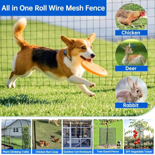 Black Vinyl Coated Wire Mesh Fence 16 Gauge, 2/3 Inch Black PVC Metal Mesh, Welded Wire Fence for Poultry Cage, Garden Fence, Pet Animal Barrier & Plant Support (48IN X 33FT) - color: 48IN X 33FT