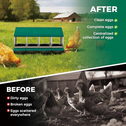 Chicken Nesting Boxes with Cleanable Pull-Out Trays, 4-Hole Wall Mount Roll Away Nest for Easy Cleaning & Egg Collection - size: 4 holes