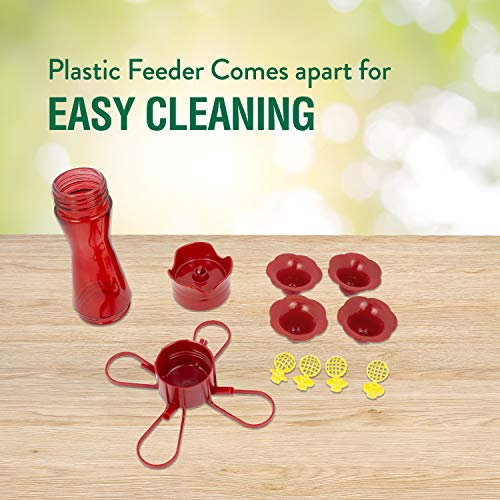 Perky-Pet Red Hummingbird Feeder - Pinch Waist Design for Easy Feeding - Humming Bird Feeder for Outdoors - 403CO - 8 oz Capacity (Pack of 6) - size: No Size (Pack of 6)