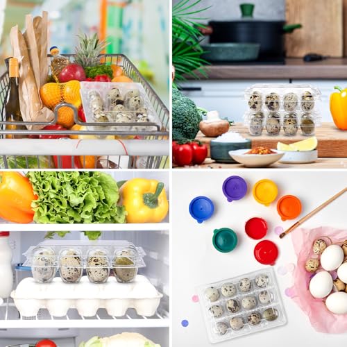 60 Pcs Giant Quail Egg Cartons 12 Grids Clear Plastic Stackable Trays for Jumbo Quail Eggs, Pigeon Eggs, Small Poultry, Great for Home Fridge Storage, Farm, Market, Gift Box Packing