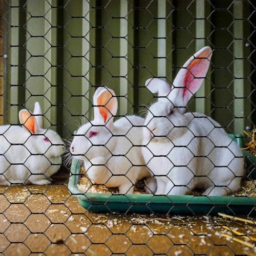 PVC Hexagonal Poultry Netting Chicken Wire 12" x150' x 1" Mesh 20GA Black - size: 12"x150'-1" 20GA
