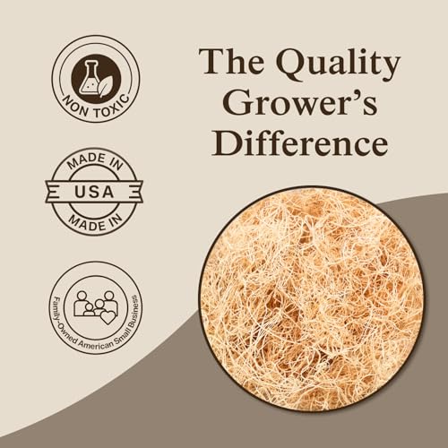Aspen Wood Excelsior, Fine Cut, Small 2-Pack | Natural Aspen Wood Excelsior for Crafts & Animal Bedding, Cages, Soft & Absorbent, Dye-Free, Family Owned, USA Made - size: Small 2-pack, style: Fine Cut