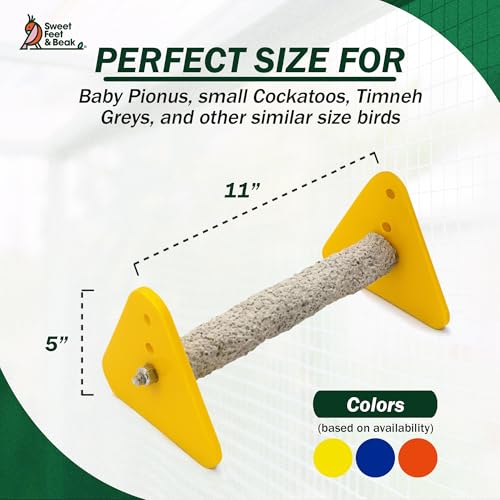 Sweet Feet and Beak Baby Weaning Stand, Medium Training Bird Perch | 3 Adjustable Heights, Training & Play Stand, Easy to Clean, Handmade in USA, For Baby Finches, Canaries & Small Budgies - size: Medium