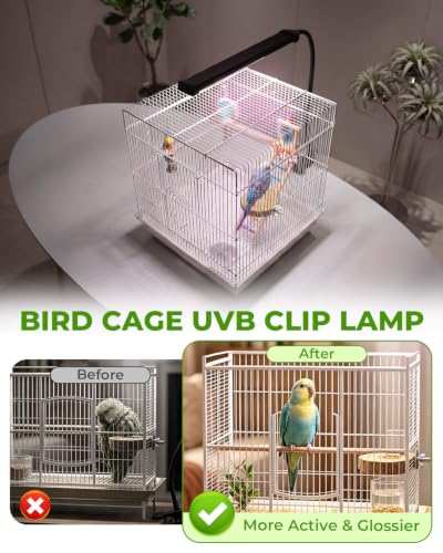 UVB Light for Birds, Full Spectrum LED Bird Cage Light for Parrot | UVB 2.4 Clip Lamp with 24H Cycle Timer for Captive Birds, a Round Platform Included, 3 Lighting Modes