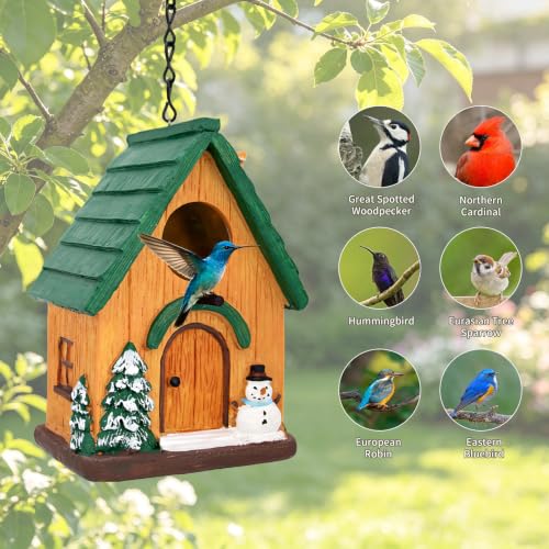 Rustic Cottage Hanging Bird Houses for Outside Garden Yard Decor | Resin Outdoor Birdhouses for Bluebird Wren Finches Cardinals Sparrow Nesting, Gift for Bird Lover Mom Women Christmas - color: Green