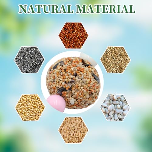 Bird Toys, 2 Pack Chew Toy with 3 Natural Cereal Foraging Balls for Cage, Parakeet Toys, Chew Toy Ball for Budgies, Cockatiels, Lovebirds, Green Cheeks, Small to Medium Birds