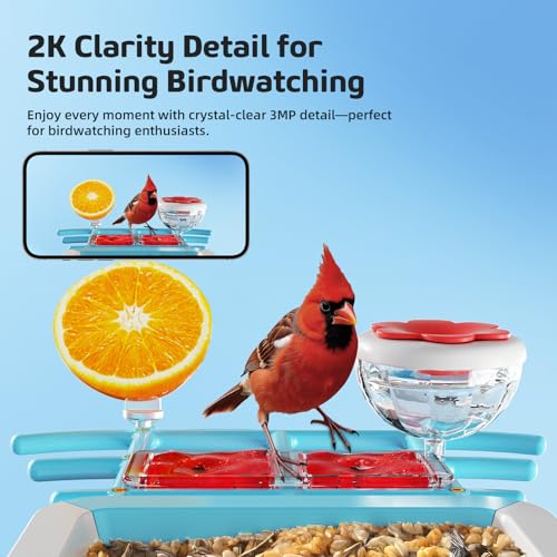 Bird Feeder with Camera 2K HD AI Smart Identify BirdSpecies Solar Panel Outdoors Birdhouse with Cam, Instant Arrival Alerts, Capture BirdVideo, Gifts for Mom Dad - color: Blue