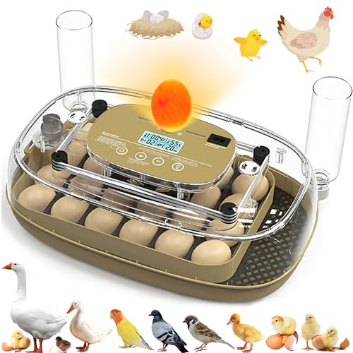 Syluris Incubators for Hatching Eggs, 24 Egg Incubator with Automatic Egg Turning and Humidity Control, Egg Candler, 360° Viewing, Chicken Incubators for Hatching Eggs, Quail Eggs, Duck Eggs Poultry