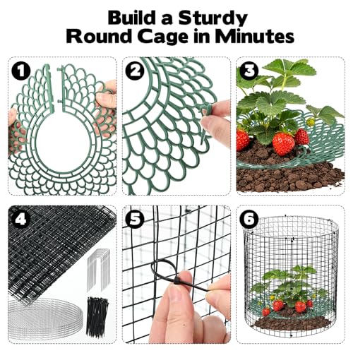 6 Pack Round Upgraded Strawberry Supports with Wire Covers Plant Protectors from Animal - All-in-One Garden Protection Kit to Defend Against Rabbits, Birds, Squirrels for Strawberries and Vegetables