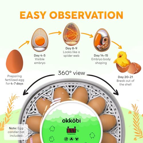 Okkobi M12 Egg Incubator with Automatic Turner and Humidity Control - 12/24 Eggs, 360° View, Easy to Use and Clean - Incubadora de Huevos de Gallina - Made for US - White & Green - color: Green