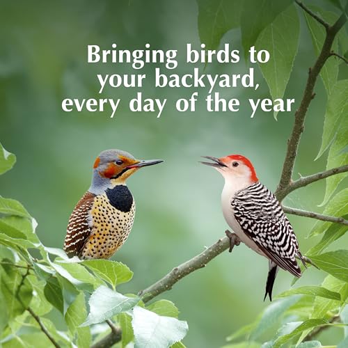 C&S Woodpecker Delight No Melt Suet Dough, Suet Cakes for Wild Birds Including Woodpeckers, Flickers and More, 11.75 Ounces, Pack of 8 - size: 1.47 Ounce (Pack of 8), style: Woodpecker, 8 Pack