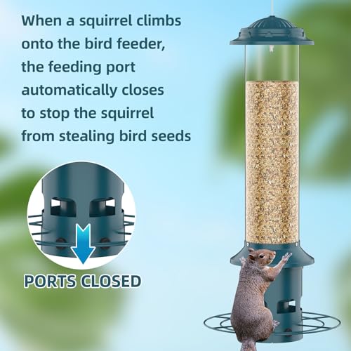 Metal Squirrel Proof Bird Feeders for Outdoors Hanging 4.0 LB Large Capacity,Easily Beat Squirrels,Easy to Clean and Fill,Waterproof,Attracting Finch,Cardinal,Chickadee and More - size: 4.0 lb