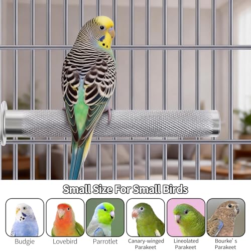 AOTU Large Bird Perch Stainless Steel Parrot Perches Bird Stand for Cage Durable Beak & Claw Trimming Grinding Perch for Birds Parrot Cage Accessory (M: 9.8" x 1.2") - size: M: 9.8" x 1.2"
