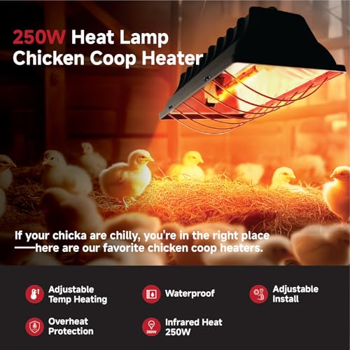 250W Chicken Coop Heater for Winter Chicks Ducks, Chicken Brooder Heater Lamp w/ 2 Heating Mode & Adjustable Hanging Height for Livestock Pet Inside Outdoor Lamp (250W-Black)