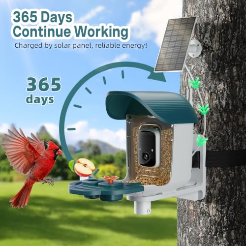 Bird Feeder with Camera Solar Powered, 2K HD Birds Feeder Camera for Outdoors, Instant Motion Detection & Alerts, AI Smart Identify Birds Species, Gifts for Mom Dad and Bird-Lovers(Cyan-Blue) - color: Cyan-Blue
