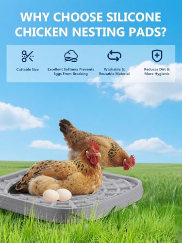 Kalolary 12 PCS Silicone Chicken Nesting Box Pads, 12"x 12" Nesting Pads for Chicken Coop Washable Nesting Box Liners for Chicken Laying Boxes Soft, Easy Clean, Gray