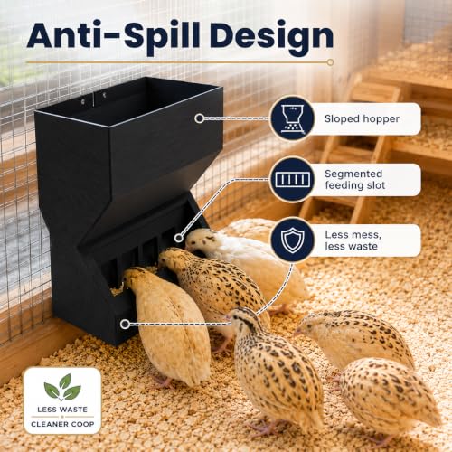 Wall Mount Automatic Quail Feeder, Anti Spill Feed Dispenser (Black) | Large Capacity Hanging Trough for Quail Chicks Small Birds, Easy Refill Clean Cage Feeder for Brooder Breeding Grow Out Cages - color: Black