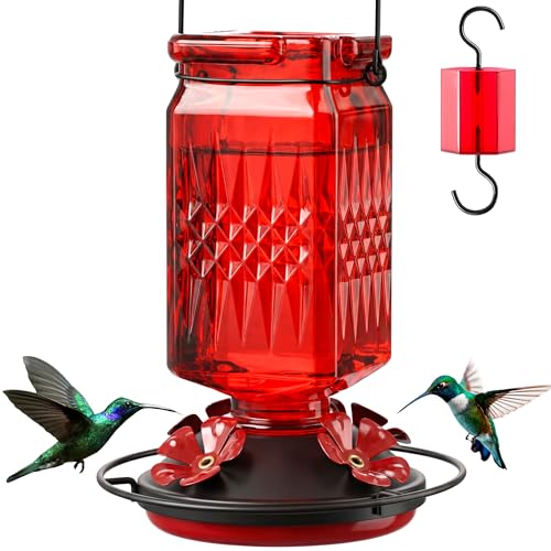 20oz Glass Hummingbird Feeder for Outdoors Hanging, Bird Nectar Feeder with 4 Bee Guard Flower-Shaped Feeding Ports & Built-in Ant Moat, for Bird Lover, Red (1 Pack) - color: Red 1 Pack
