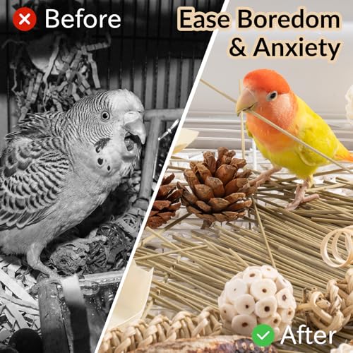 26PCS Bird Foraging Toys Set with Hanging Rattan Basket, Natural Shreddable Chew Toys, Relieve Boredom, for Parakeets, Budgies, Cockatiels, Conures, Lovebirds, Small Medium Parrots