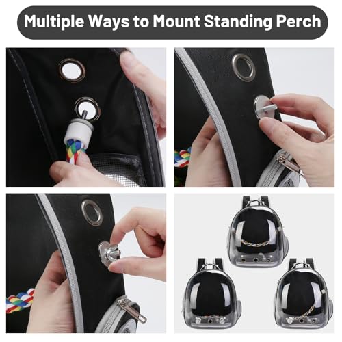 Bird Backpack Carrier, Travel Bird Cage for Small Medium Size Parrot Parakeet Budgies Cockatiel, Portable Clear Bubble Window Bag with Stainless Steel Tray Food Bowl Standing Perch (Black) - color: Black