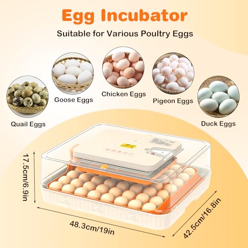 56 Egg Incubator, Incubator for Hatching Eggs with External Auto Water Refill, Auto Turner, LED Candler, Temperature Control, Incubator for Hatch Chick Duck Quail Poultry Home School Lab | with External Auto Water Refill, Auto Turner, LED Candler, Tempera