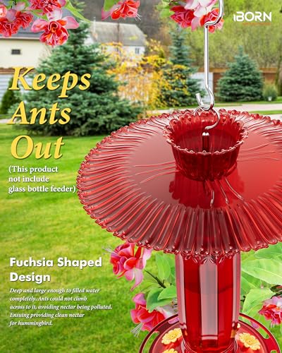 iBorn Hummingbird Feeders Sun Baffle,Ant Proof Moat Shade Cover Combo,for Hanging Bird Feeder for Outdoors Rain Guard,Red, 10.6inch - size: 10.6" Baffle with Ant Moat,1 Pack