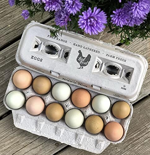 250 Egg Cartons- Bulk Value Bundle- Adorable Printed Design for Farm Fresh Eggs, Recycled Paper Cardboard, Sturdy & Reusable, Holds up to XL Chicken Eggs - color: Locally Laid Hen, size: 250