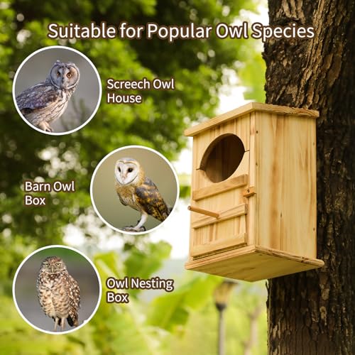 Screech Owl Nesting Box for Outdoors with Easy-Clean Door | Owls House, 13×7.3×8.6 In, Cedar Wood, Quick Assembly, Weather-Resistant Design, Includes Natural Shavings