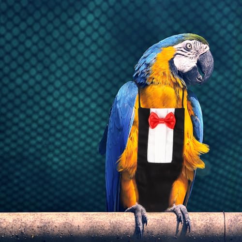HANABASS 2Pcs Bird Diaper Parrot Suit Diapers, Cotton Pet Bird Clothes Pee Pads, Bird Harness Reusable, Macaw Parakeet Flight Suit for Birds, Cockatiel, Budgie, Red Black - size: XL