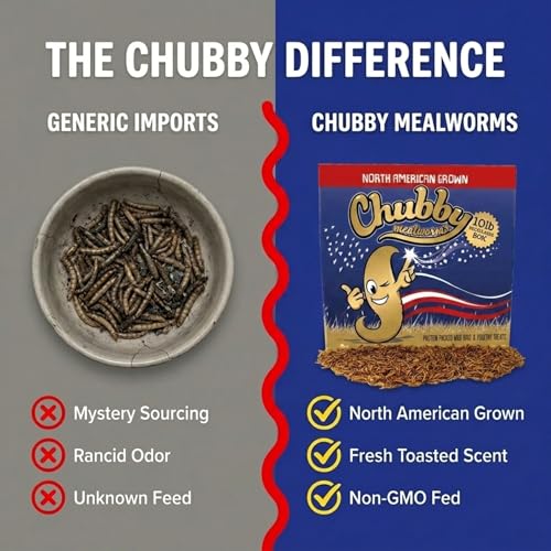 Chubby North American Grown Dried Mealworms | 10 lbs | Non-GMO High-Protein Treats for Chickens, Ducks & Wild Birds – Sustainable Chicken Feed - size: 10Lbs